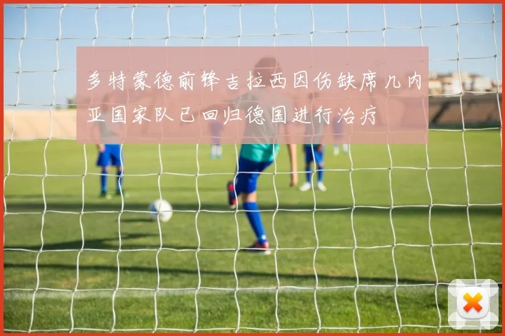 多特蒙德前锋吉拉西因伤缺席几内亚国家队已回归德国进行治疗